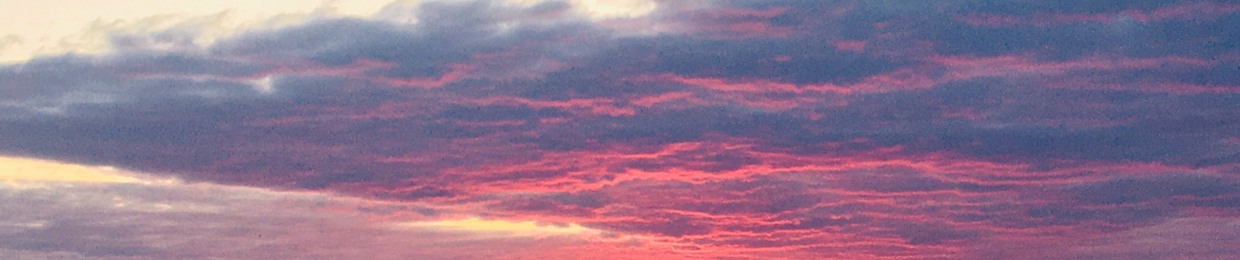 BLTN (Better Late Than Never / ex Jehovas on Acid)