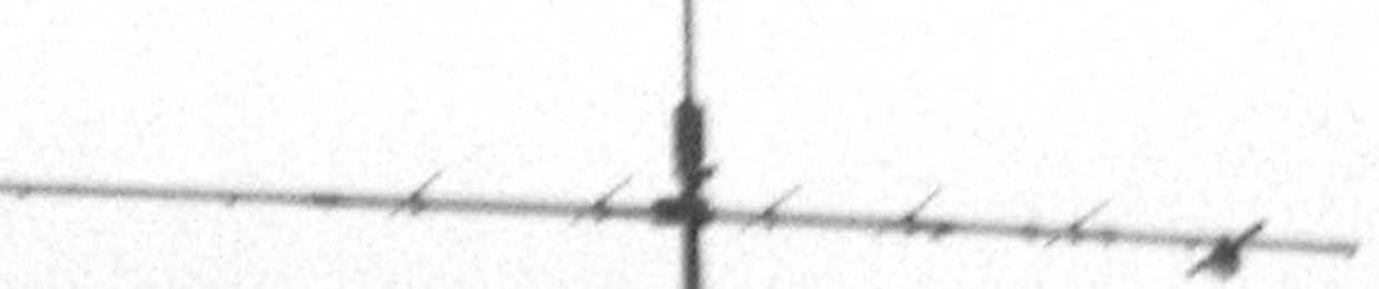 Braun Jaschkewitz