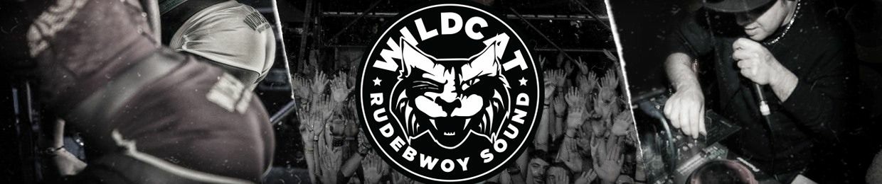 Wildcat Sound