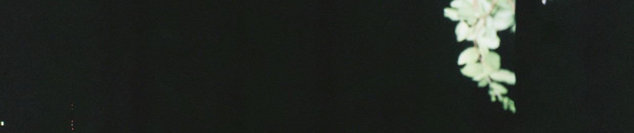 Navillus