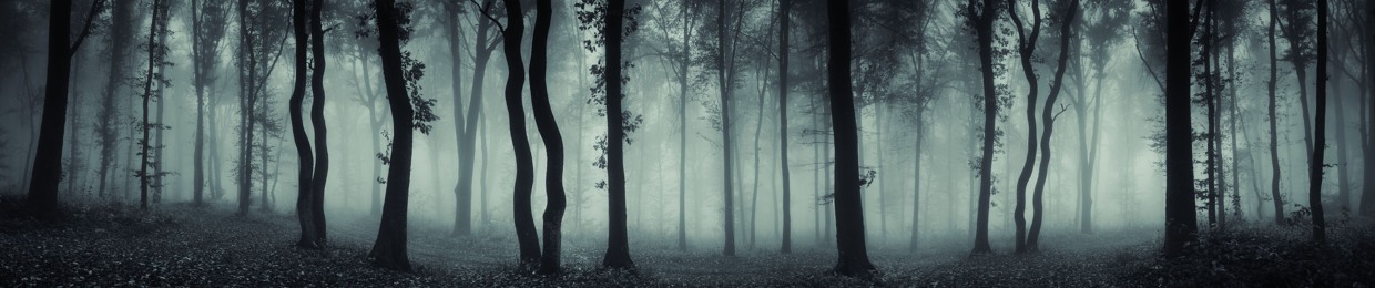 TWS (The Wizard's Sleeve)