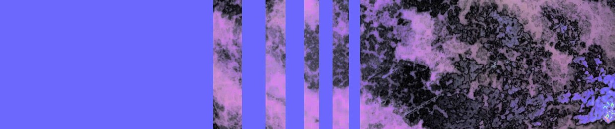 Decoq / Basse-cour