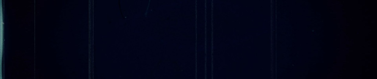 DISTRIKTWARSCHAU <Piggs in Space>