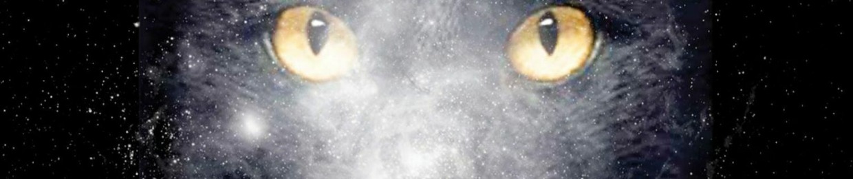 Dj Dav1d, Matteo Hacker