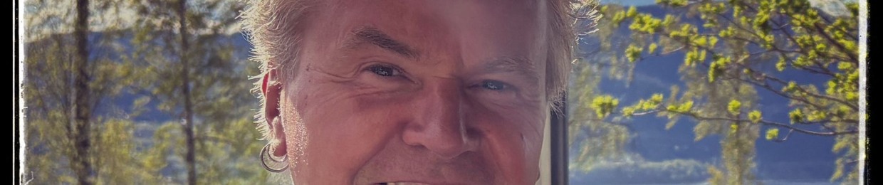 steinar@steinarhagen.com