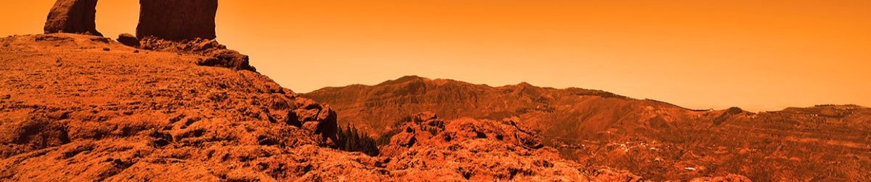 LIFE on MARS