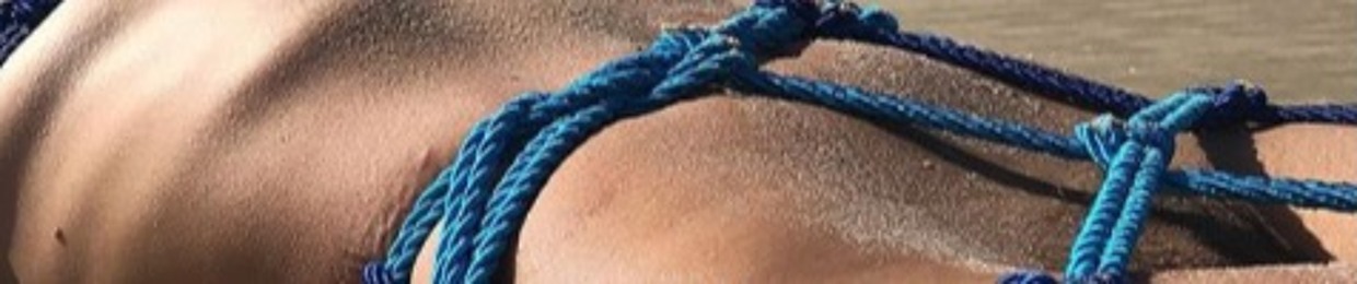 laura de vasconcelos