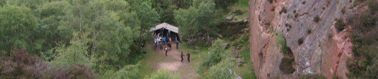 The Camouflaged Disco