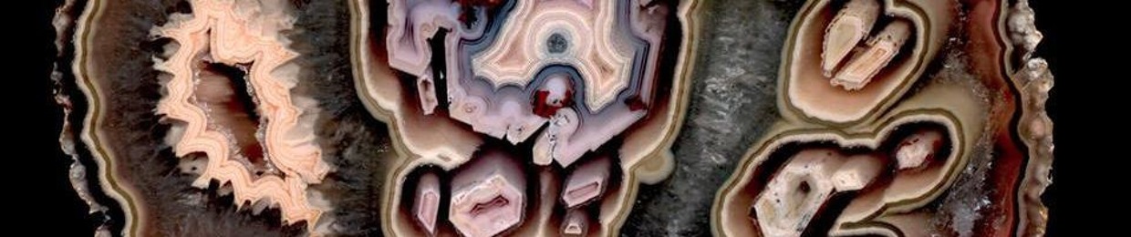 lilfractalbee