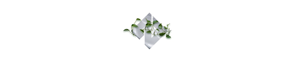 ZooFunktion