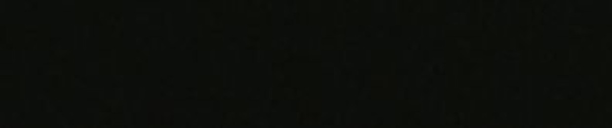 Silhouette / Vision of 1994