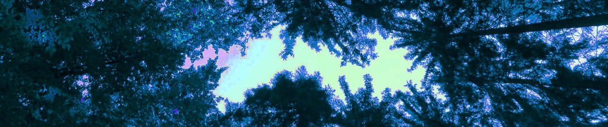 Unjungle