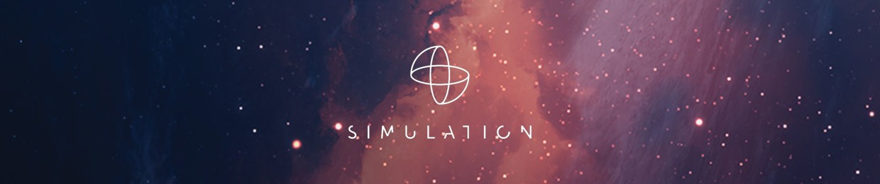 Simulation