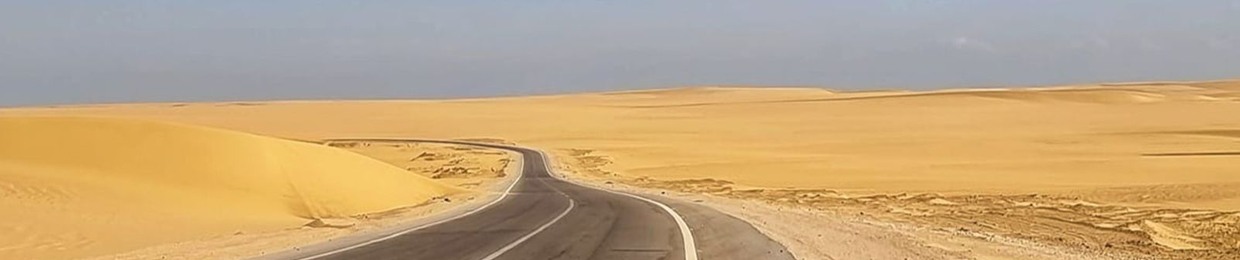 Steve Self live official