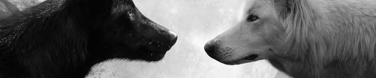 SoundCloud banner for @tejan