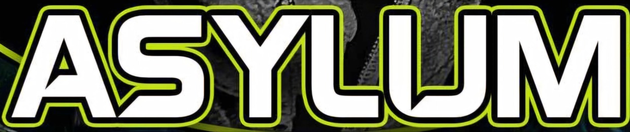 AllyAsylum