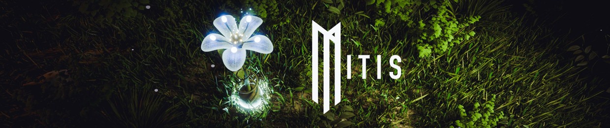 MitiS