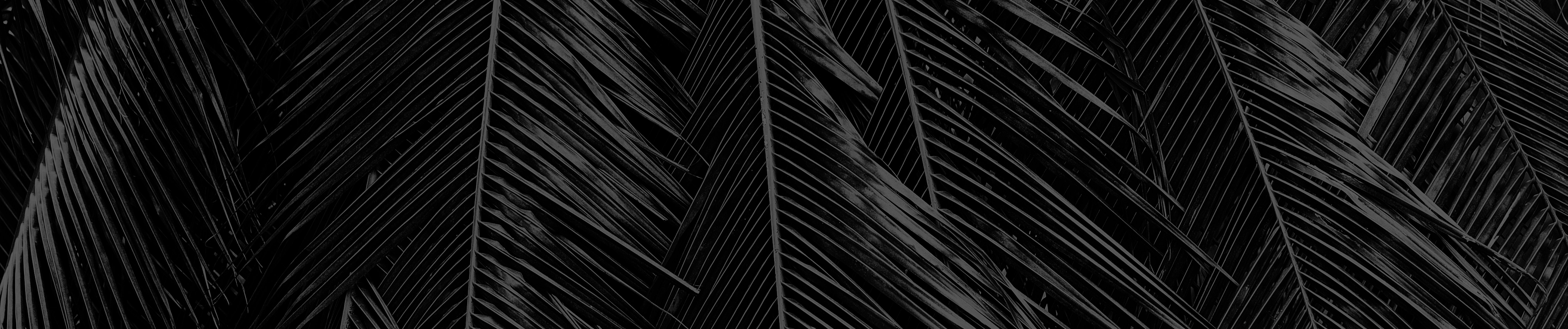 SoundCloud banner for @decide