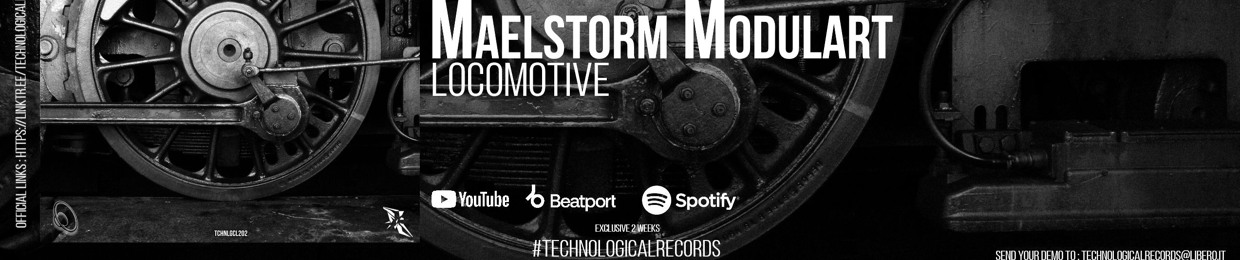 Maelstorm-Modulart 1