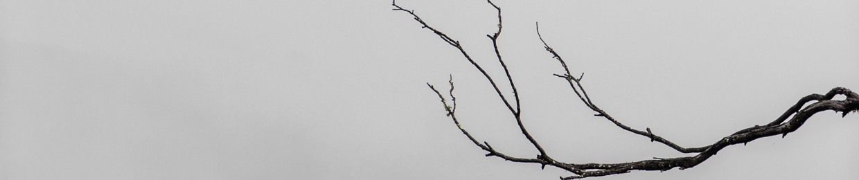 AleEffe