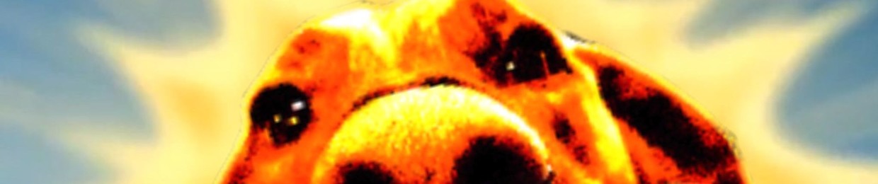jerksauceproject