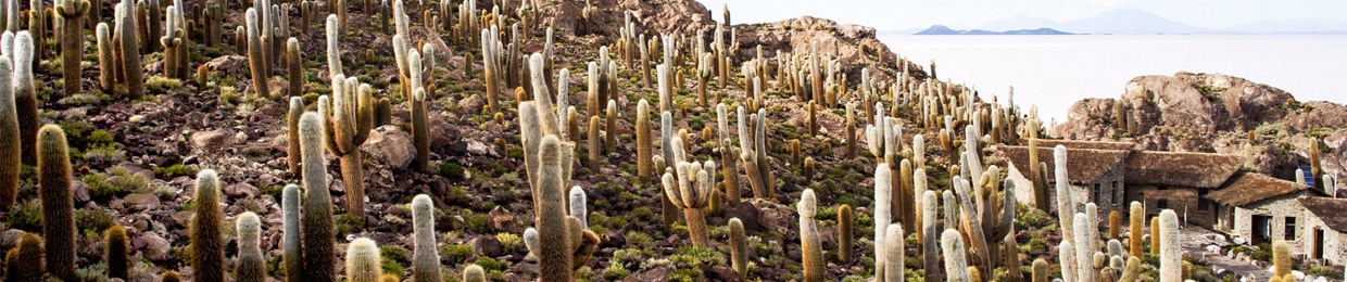 cactus wtf