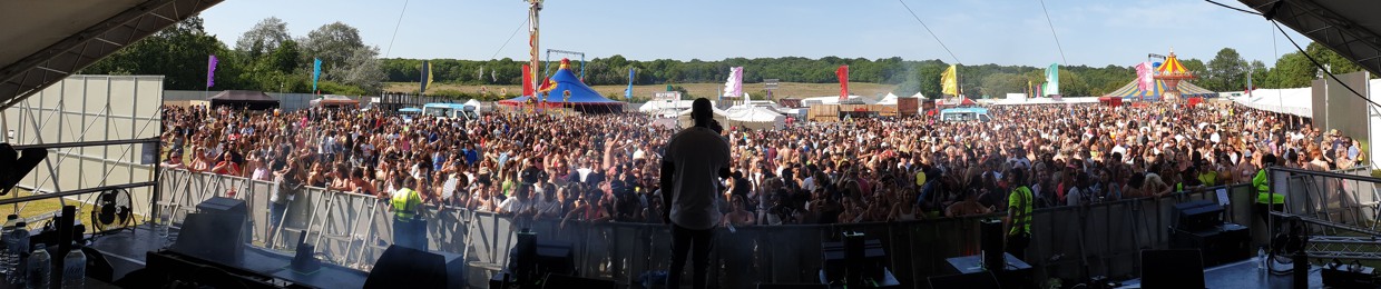 Martin Liberty Larner