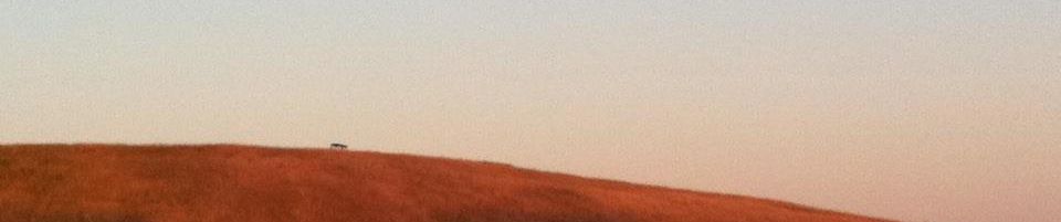 SoundCloud banner for @primal