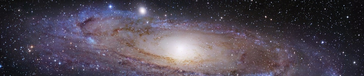 Interstellar Bear ʕ•́ᴥ•̀ʔ