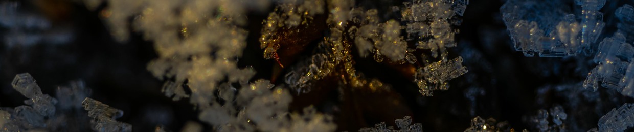 Dissolved