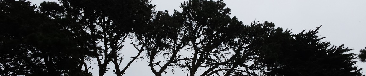 Dendritic