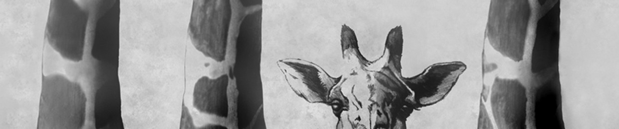 Underwater Window Garden