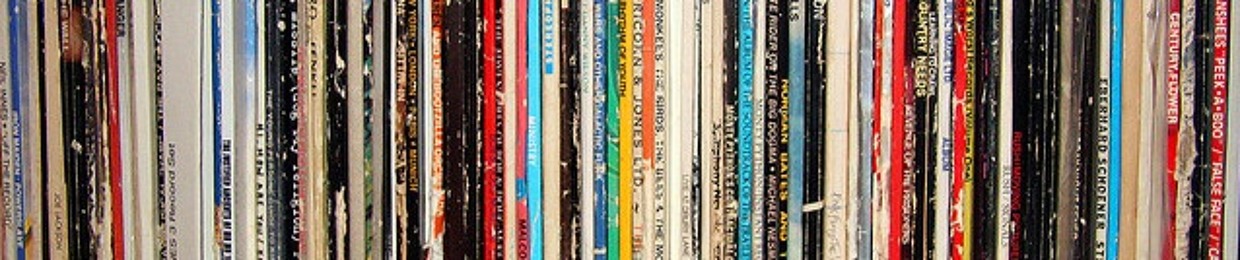 Little VInyl Shop