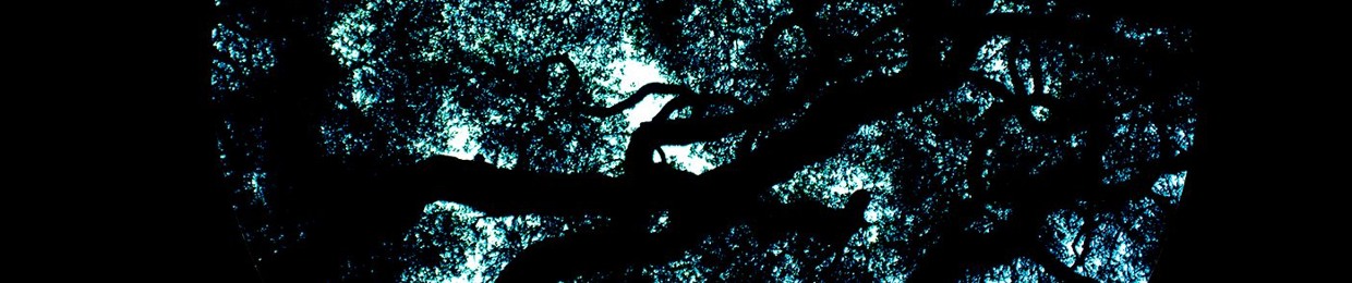 Synchronos Recordings