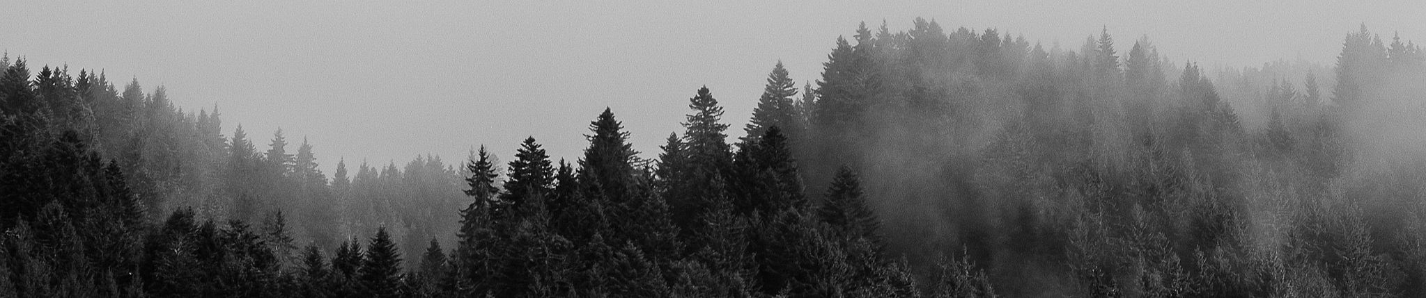 SoundCloud banner for @murmure