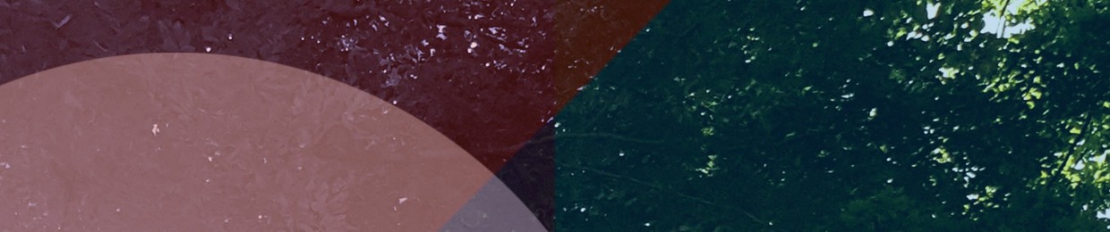 envloop records