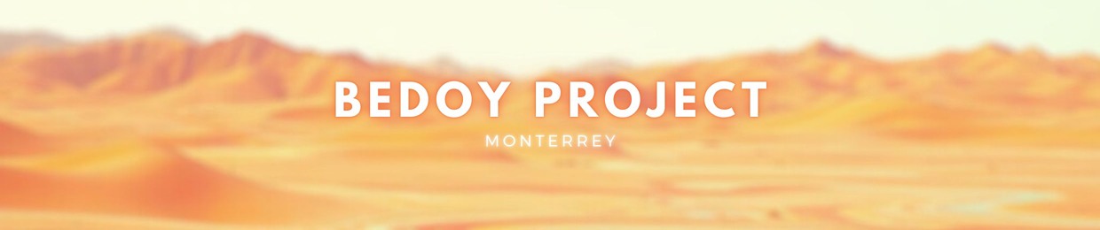 Bedoy Project