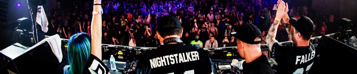 DJ Nightstalker