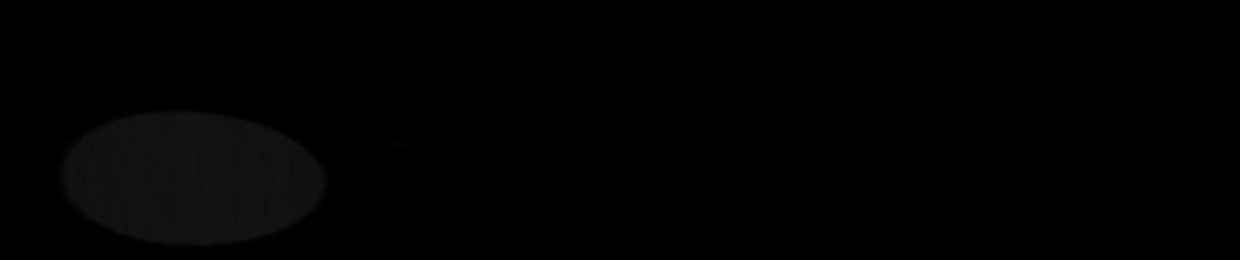 Solipsis