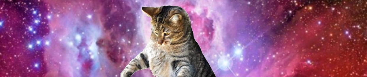 SpaceCat