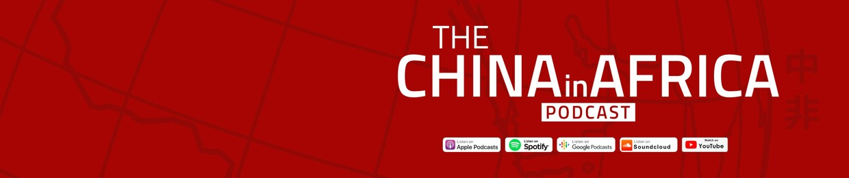 The China-Global South Project