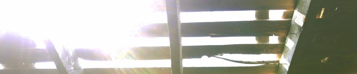 Etheric Field