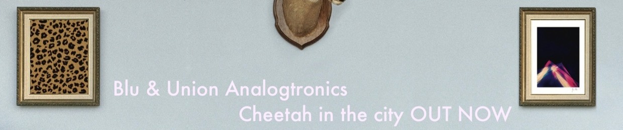 UnionAnalogtronics