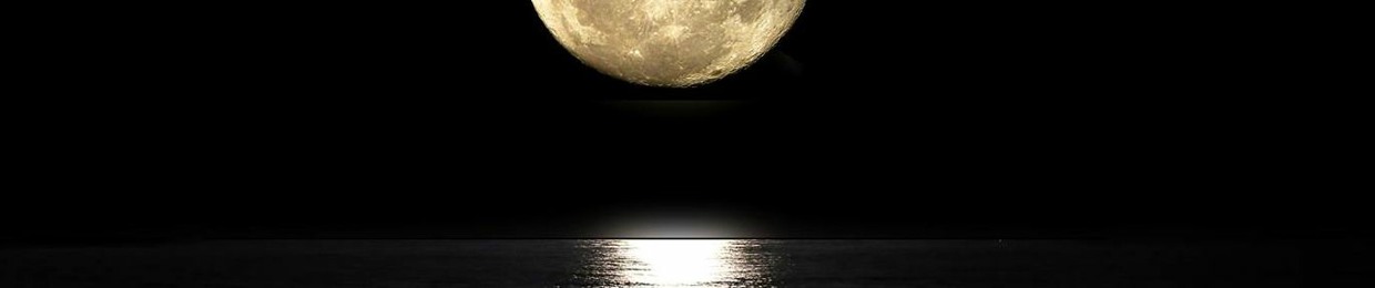 🌒🖤🌗