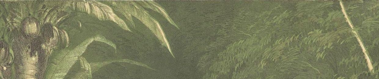 poutdeviatorphobiaunlovel