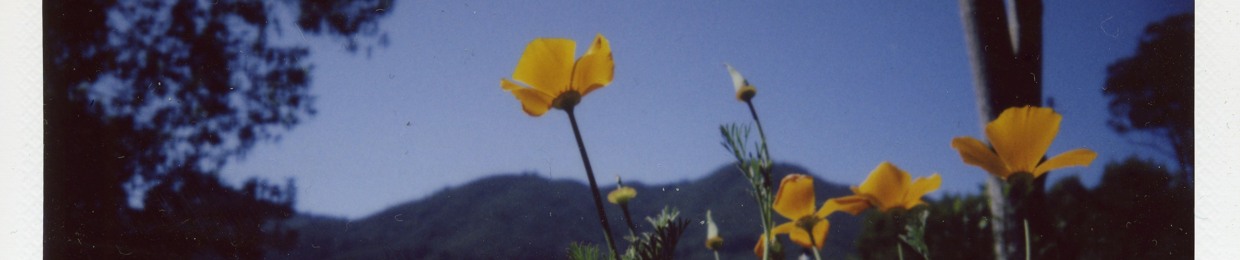 Mark Aubert