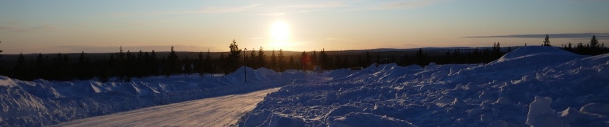 Silvi