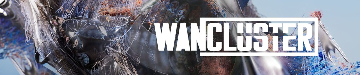 WanCluster