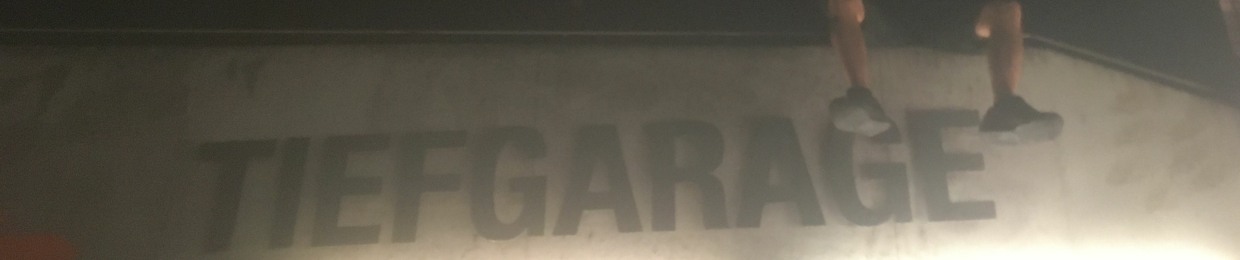 David Garage (DamnD)