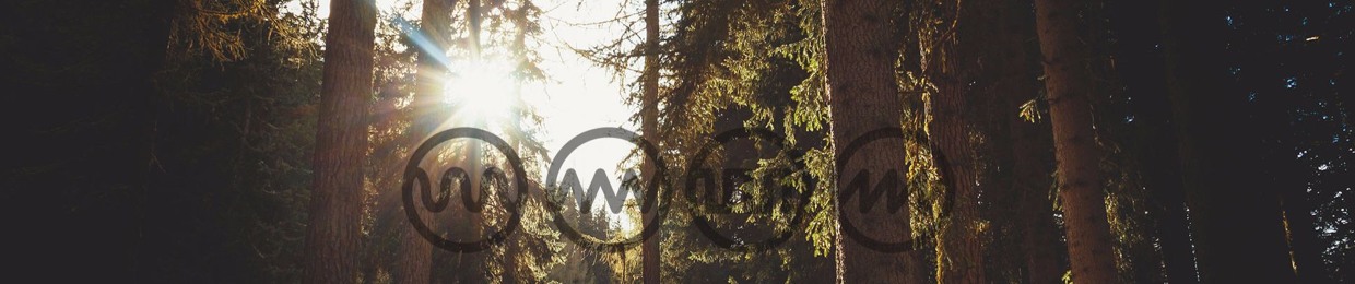 Spatial Distortion